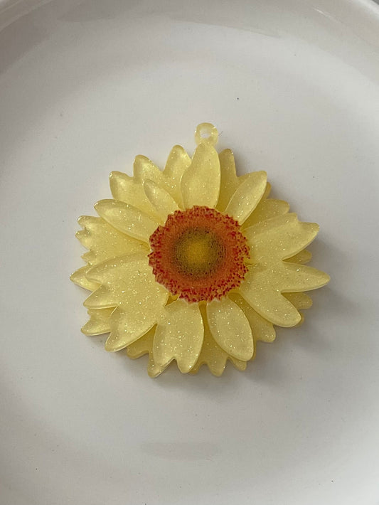 Colección Margaritas Encantadas 🌼