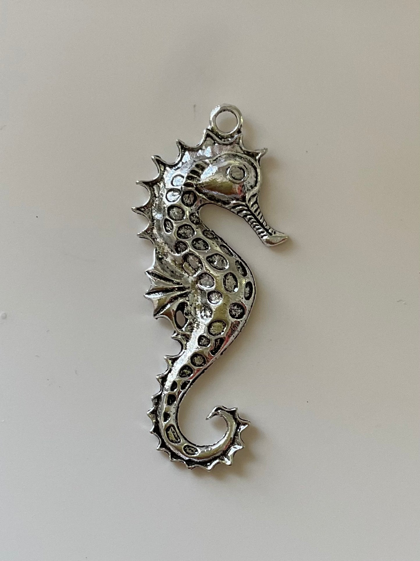 🌊 Caballito de Mar Oceánico